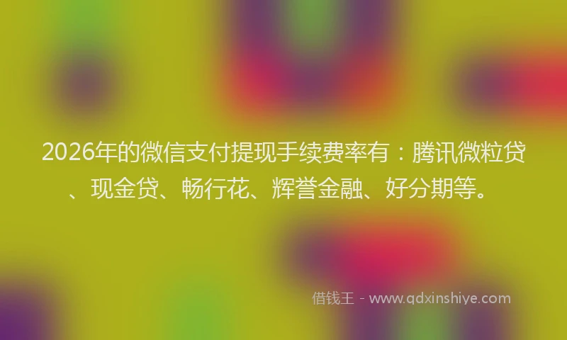 2026年的微信支付提现手续费率有：腾讯微粒贷、现金贷、畅行花、辉誉金融、好分期等。