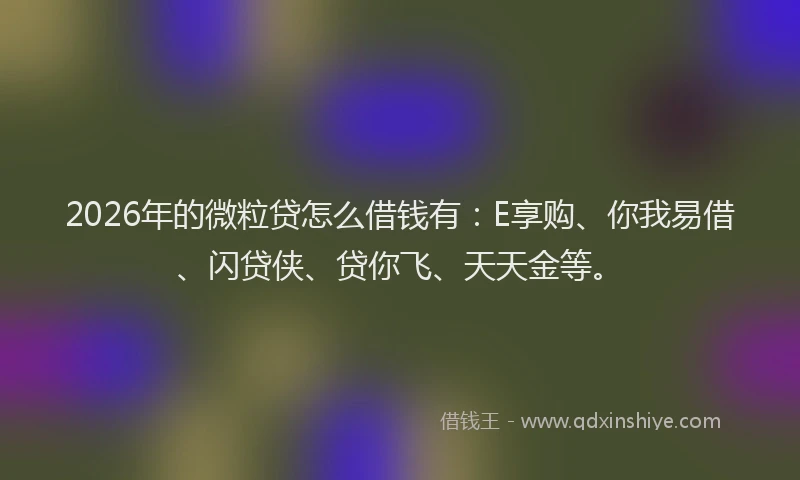 2026年的微粒贷怎么借钱有：E享购、你我易借、闪贷侠、贷你飞、天天金等。