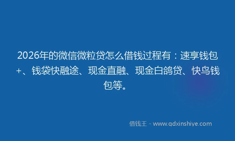 2026年的微信微粒贷怎么借钱过程有：速享钱包+、钱袋快融途、现金直融、现金白鸽贷、快鸟钱包等。