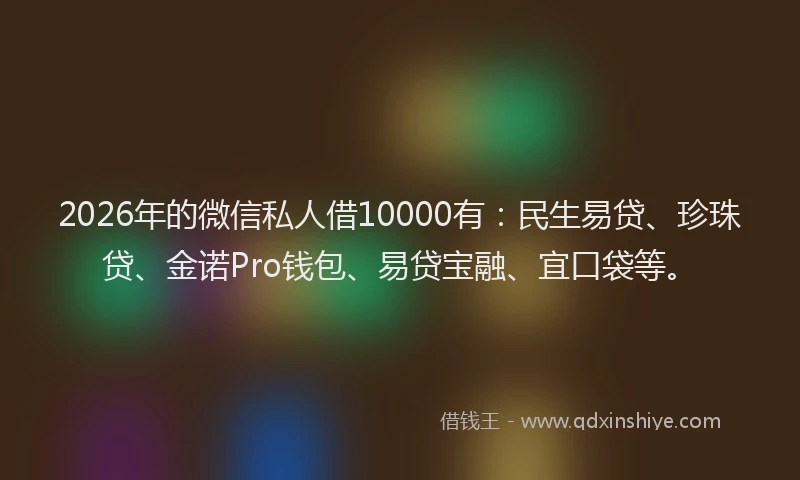 2026年的微信私人借10000有：民生易贷、珍珠贷、金诺Pro钱包、易贷宝融、宜口袋等。