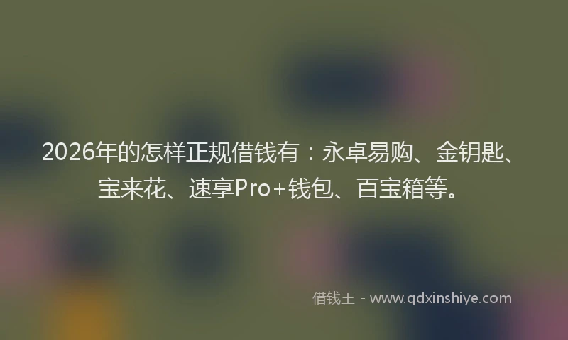 2026年的怎样正规借钱有：永卓易购、金钥匙、宝来花、速享Pro+钱包、百宝箱等。