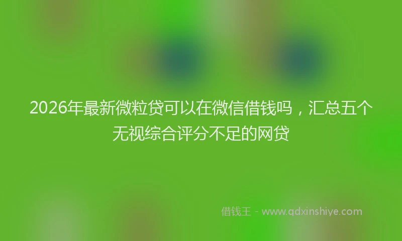 2026年最新微粒贷可以在微信借钱吗，汇总五个无视综合评分不足的网贷