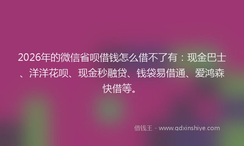 2026年的微信省呗借钱怎么借不了有：现金巴士、洋洋花呗、现金秒融贷、钱袋易借通、爱鸿森快借等。