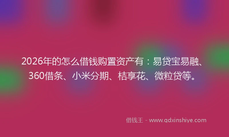 2026年的怎么借钱购置资产有：易贷宝易融、360借条、小米分期、桔享花、微粒贷等。