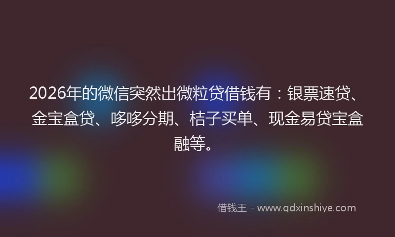 2026年的微信突然出微粒贷借钱有：银票速贷、金宝盒贷、哆哆分期、桔子买单、现金易贷宝盒融等。