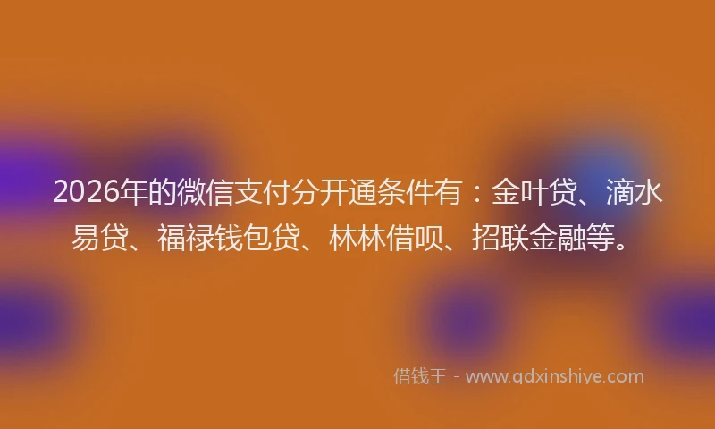 2026年的微信支付分开通条件有：金叶贷、滴水易贷、福禄钱包贷、林林借呗、招联金融等。