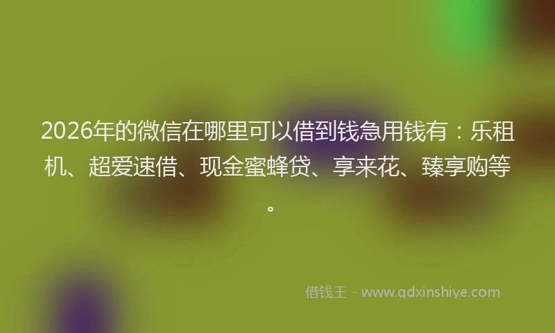 2026年的微信在哪里可以借到钱急用钱有：乐租机、超爱速借、现金蜜蜂贷、享来花、臻享购等。