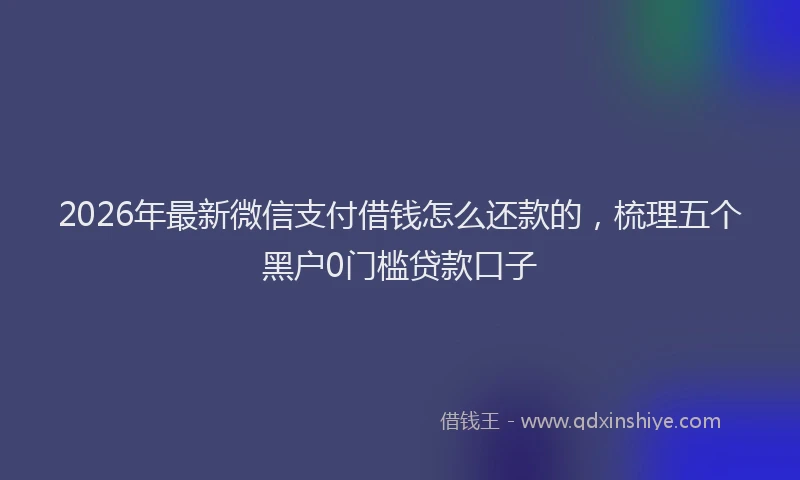 2026年最新微信支付借钱怎么还款的，梳理五个黑户0门槛贷款口子