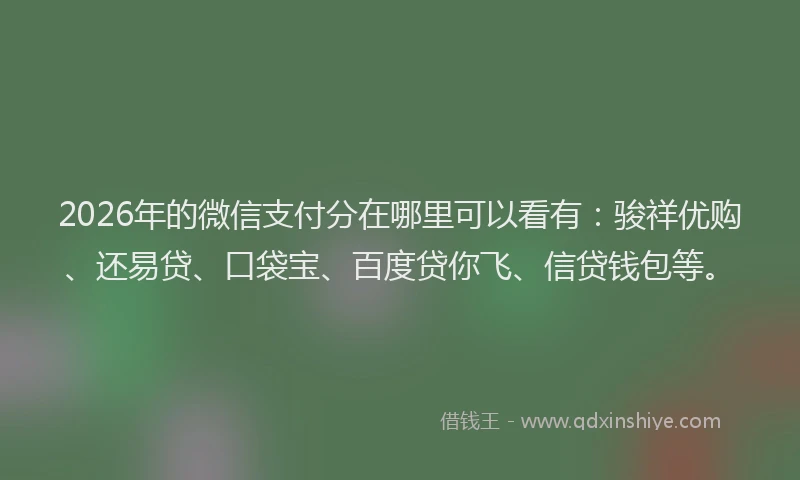 2026年的微信支付分在哪里可以看有：骏祥优购、还易贷、口袋宝、百度贷你飞、信贷钱包等。