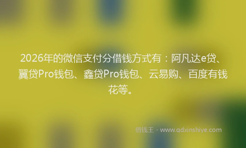 2026年的微信支付分借钱方式有：阿凡达e贷、翼贷Pro钱包、鑫贷Pro钱包、云易购、百度有钱花等。