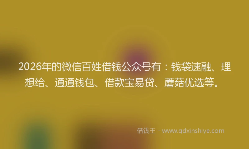 2026年的微信百姓借钱公众号有：钱袋速融、理想给、通通钱包、借款宝易贷、蘑菇优选等。