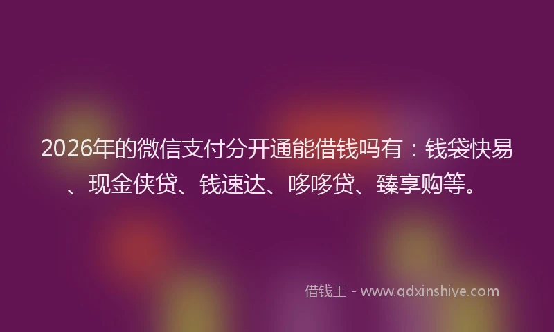 2026年的微信支付分开通能借钱吗有：钱袋快易、现金侠贷、钱速达、哆哆贷、臻享购等。