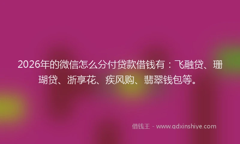 2026年的微信怎么分付贷款借钱有：飞融贷、珊瑚贷、浙享花、疾风购、翡翠钱包等。