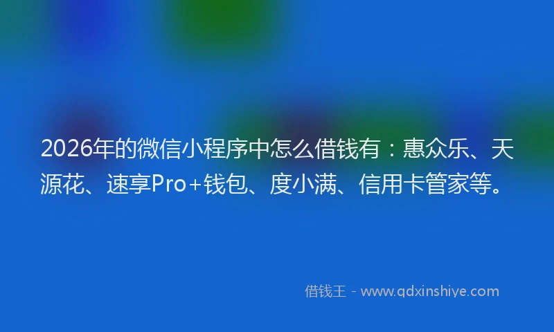 2026年的微信小程序中怎么借钱有：惠众乐、天源花、速享Pro+钱包、度小满、信用卡管家等。