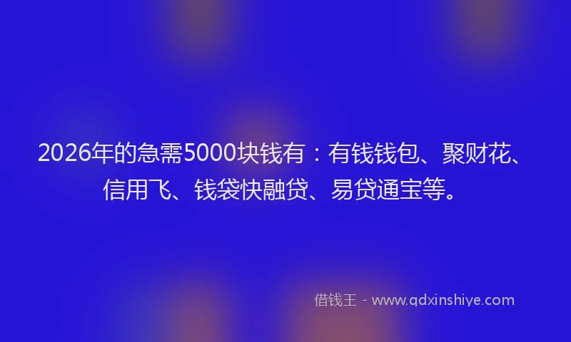 2026年的急需5000块钱有：有钱钱包、聚财花、信用飞、钱袋快融贷、易贷通宝等。