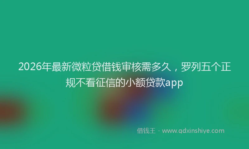 2026年最新微粒贷借钱审核需多久，罗列五个正规不看征信的小额贷款app