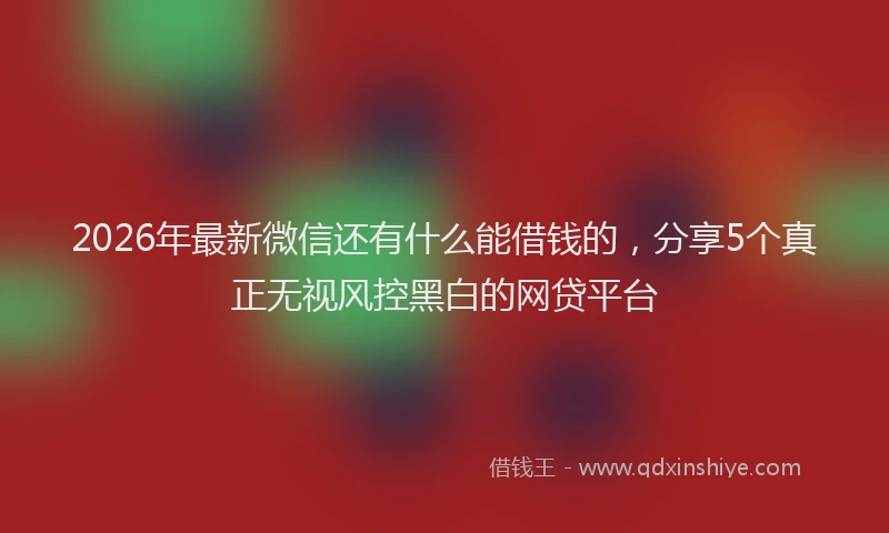 2026年最新微信还有什么能借钱的，分享5个真正无视风控黑白的网贷平台