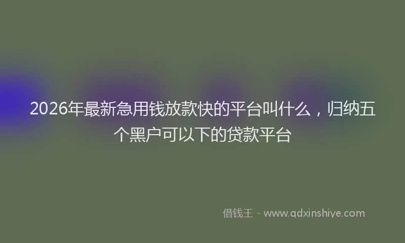 2026年最新急用钱放款快的平台叫什么,归纳五个黑户可以下的贷款平台
