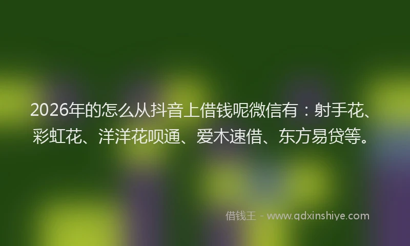 2026年的怎么从抖音上借钱呢微信有：射手花、彩虹花、洋洋花呗通、爱木速借、东方易贷等。