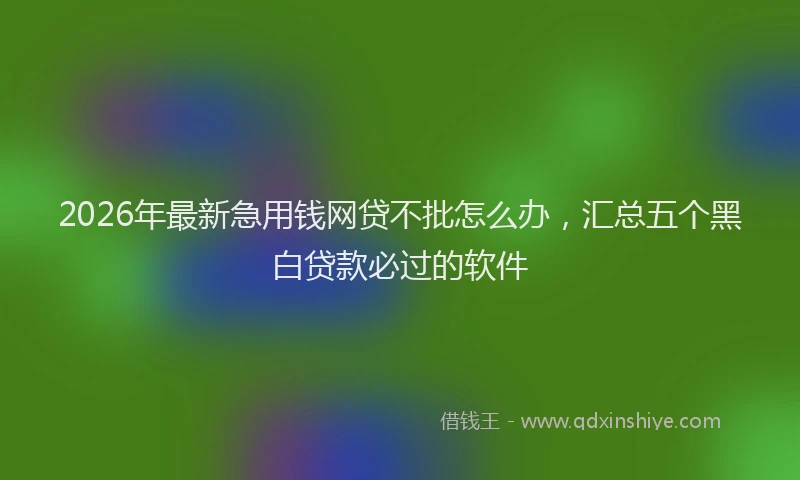 2026年最新急用钱网贷不批怎么办，汇总五个黑白贷款必过的软件