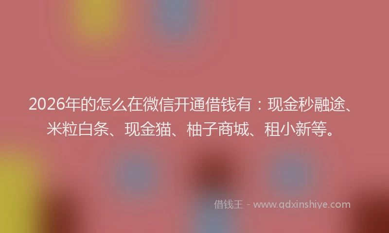 2026年的怎么在微信开通借钱有：现金秒融途、米粒白条、现金猫、柚子商城、租小新等。