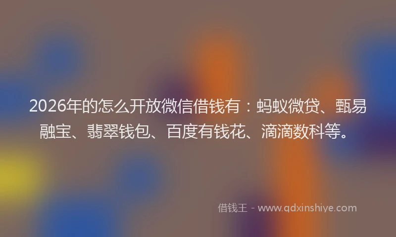 2026年的怎么开放微信借钱有：蚂蚁微贷、甄易融宝、翡翠钱包、百度有钱花、滴滴数科等。