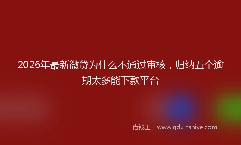 2026年最新微贷为什么不通过审核，归纳五个逾期太多能下款平台