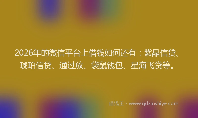 2026年的微信平台上借钱如何还有：紫晶信贷、琥珀信贷、通过放、袋鼠钱包、星海飞贷等。