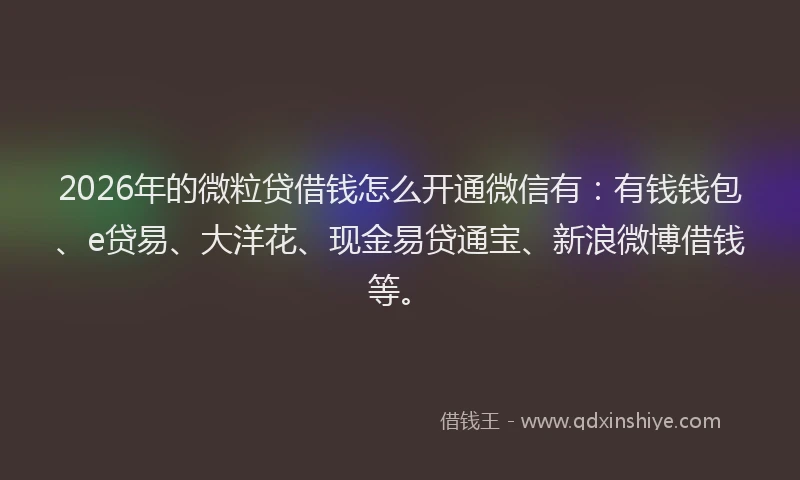 2026年的微粒贷借钱怎么开通微信有：有钱钱包、e贷易、大洋花、现金易贷通宝、新浪微博借钱等。