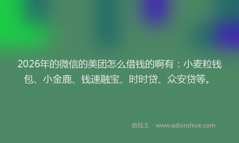 2026年的微信的美团怎么借钱的啊有：小麦粒钱包、小金鹿、钱速融宝、时时贷、众安贷等。