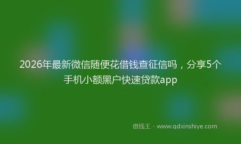 2026年最新微信随便花借钱查征信吗，分享5个手机小额黑户快速贷款app