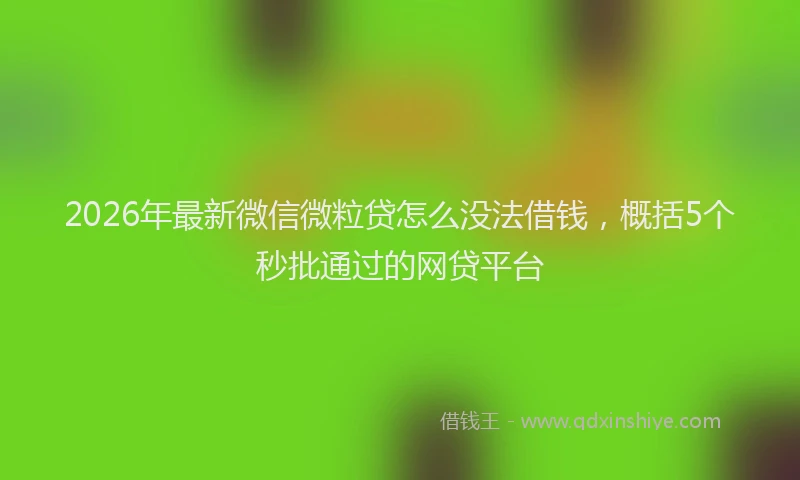 2026年最新微信微粒贷怎么没法借钱，概括5个秒批通过的网贷平台