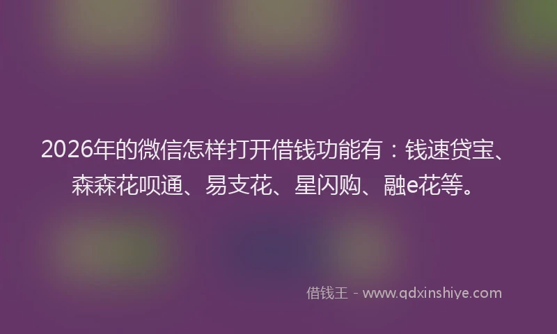 2026年的微信怎样打开借钱功能有：钱速贷宝、森森花呗通、易支花、星闪购、融e花等。