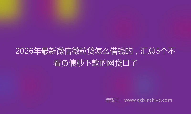 2026年最新微信微粒贷怎么借钱的，汇总5个不看负债秒下款的网贷口子