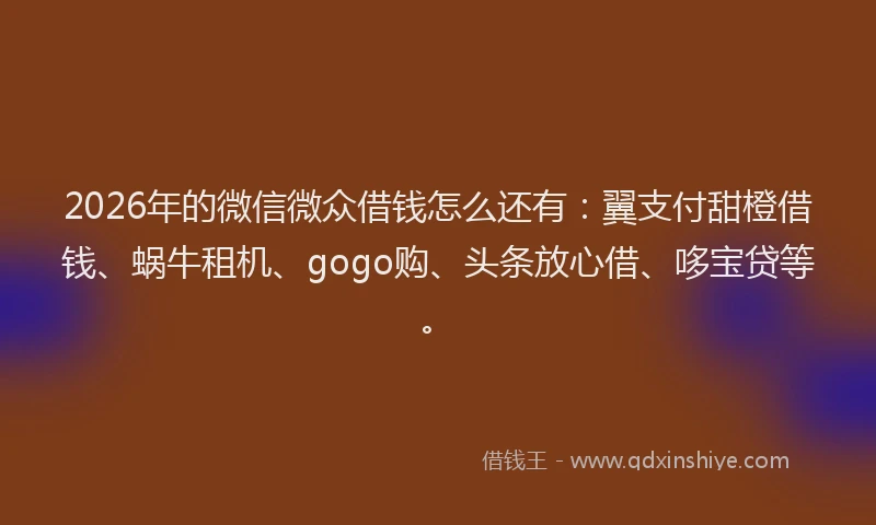 2026年的微信微众借钱怎么还有：翼支付甜橙借钱、蜗牛租机、gogo购、头条放心借、哆宝贷等。