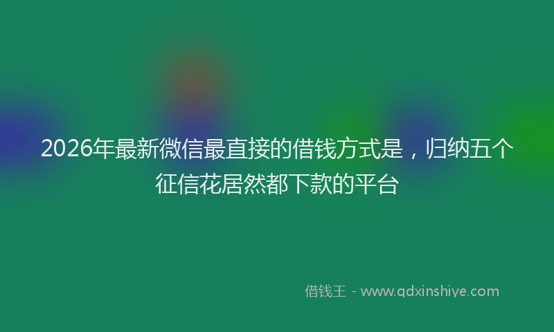 2026年最新微信最直接的借钱方式是，归纳五个征信花居然都下款的平台