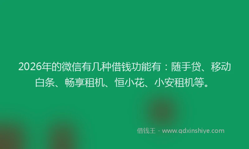 2026年的微信有几种借钱功能有：随手贷、移动白条、畅享租机、恒小花、小安租机等。