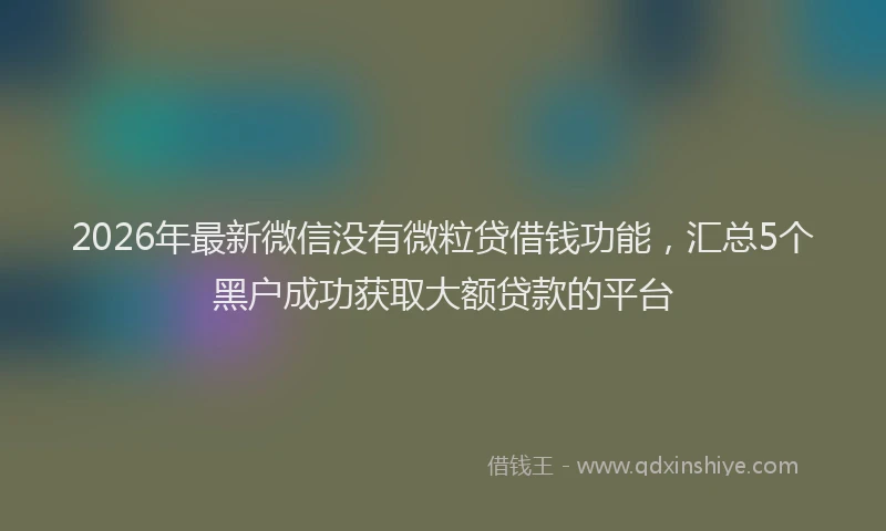 2026年最新微信没有微粒贷借钱功能，汇总5个黑户成功获取大额贷款的平台