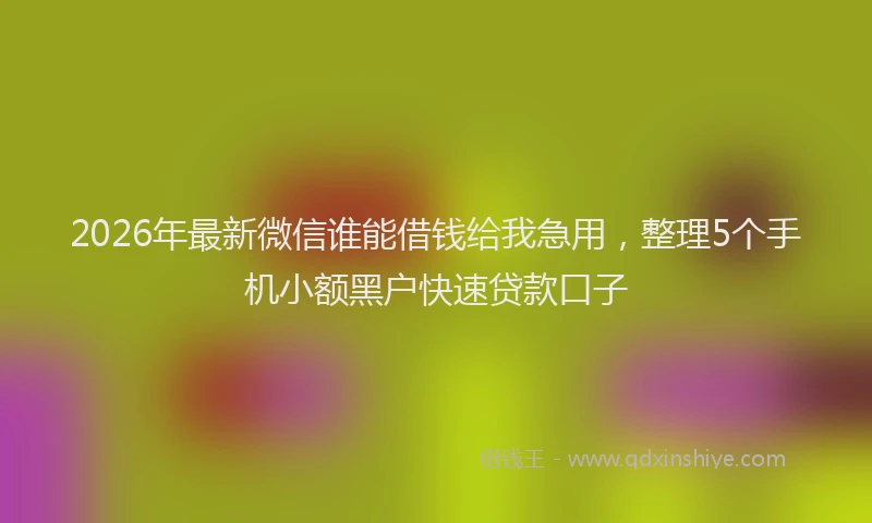 2026年最新微信谁能借钱给我急用，整理5个手机小额黑户快速贷款口子