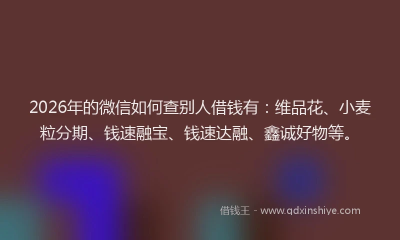 2026年的微信如何查别人借钱有：维品花、小麦粒分期、钱速融宝、钱速达融、鑫诚好物等。