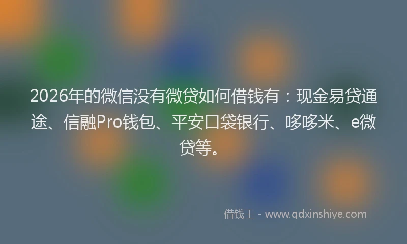 2026年的微信没有微贷如何借钱有：现金易贷通途、信融Pro钱包、平安口袋银行、哆哆米、e微贷等。