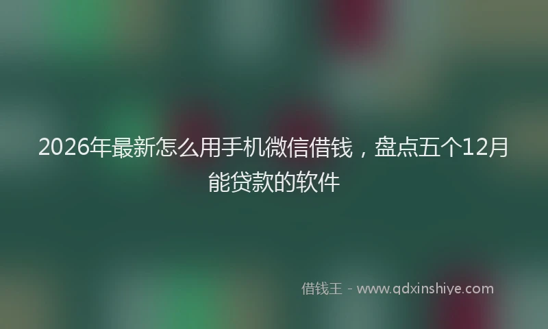 2026年最新怎么用手机微信借钱，盘点五个12月能贷款的软件