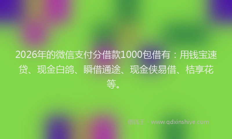 2026年的微信支付分借款1000包借有：用钱宝速贷、现金白鸽、瞬借通途、现金侠易借、桔享花等。