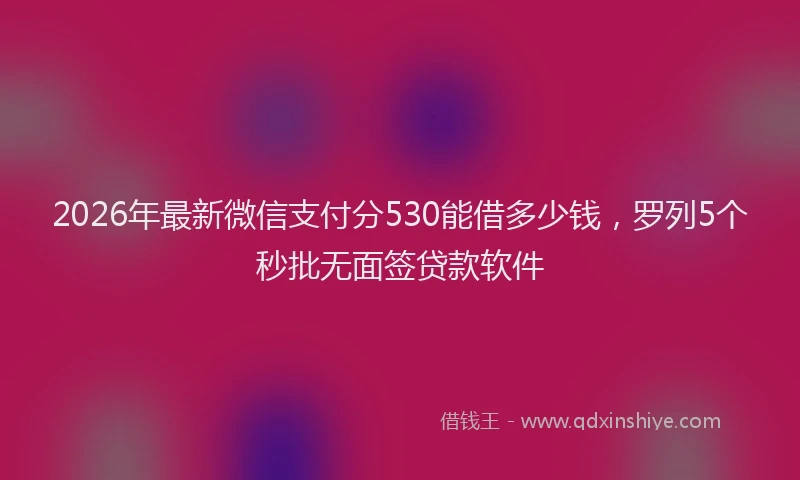 2026年最新微信支付分530能借多少钱，罗列5个秒批无面签贷款软件