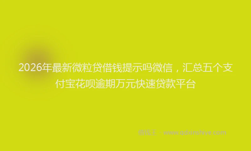 2026年最新微粒贷借钱提示吗微信，汇总五个支付宝花呗逾期万元快速贷款平台