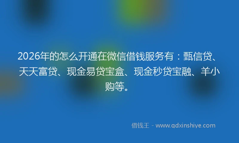 2026年的怎么开通在微信借钱服务有:甄信贷、天天富贷、现金易贷宝盒、现金秒贷宝融、羊小购等。