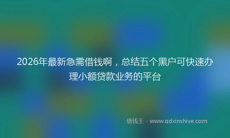 2026年最新急需借钱啊，总结五个黑户可快速办理小额贷款业务的平台