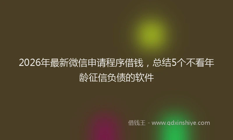 2026年最新微信申请程序借钱，总结5个不看年龄征信负债的软件