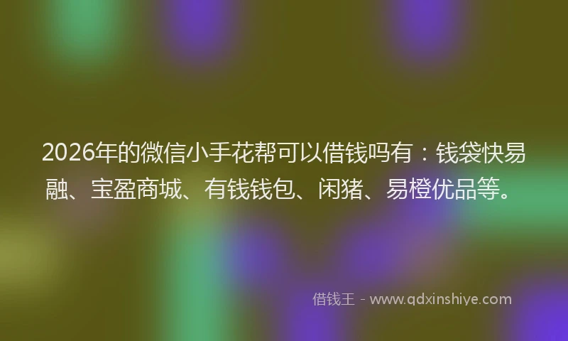 2026年的微信小手花帮可以借钱吗有：钱袋快易融、宝盈商城、有钱钱包、闲猪、易橙优品等。