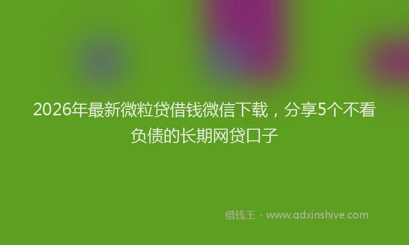 2026年最新微粒贷借钱微信下载，分享5个不看负债的长期网贷口子
